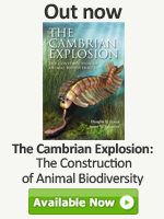 The Cambrian Explosion