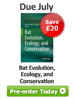 Bat Evolution