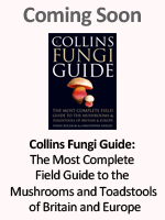 Collins Fungi Guide