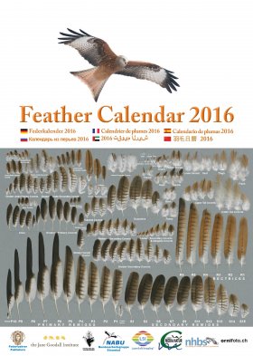 Feather Calendar 2016