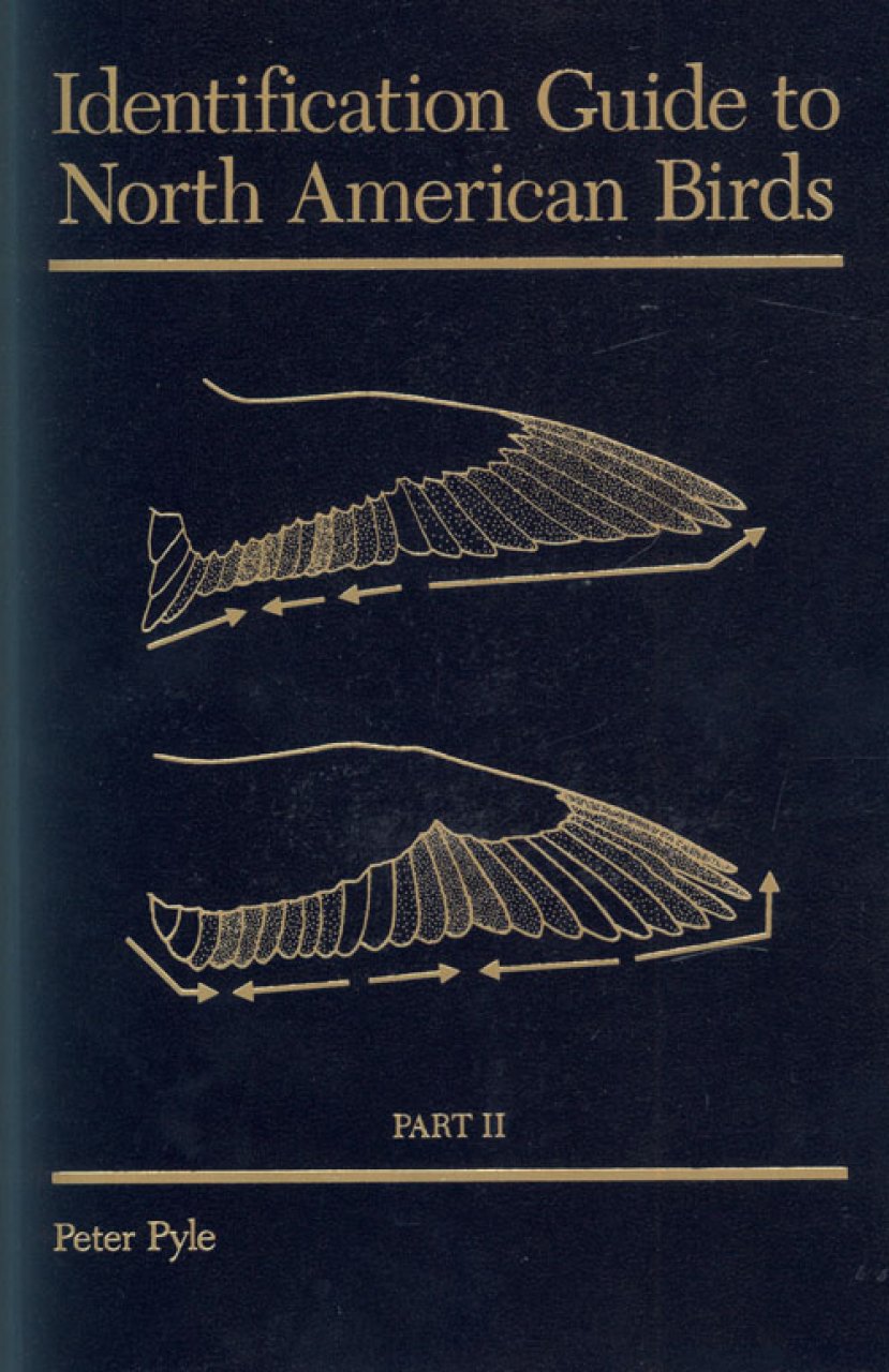 Identification Guide to North American Birds, Part 2 Anatidae to
