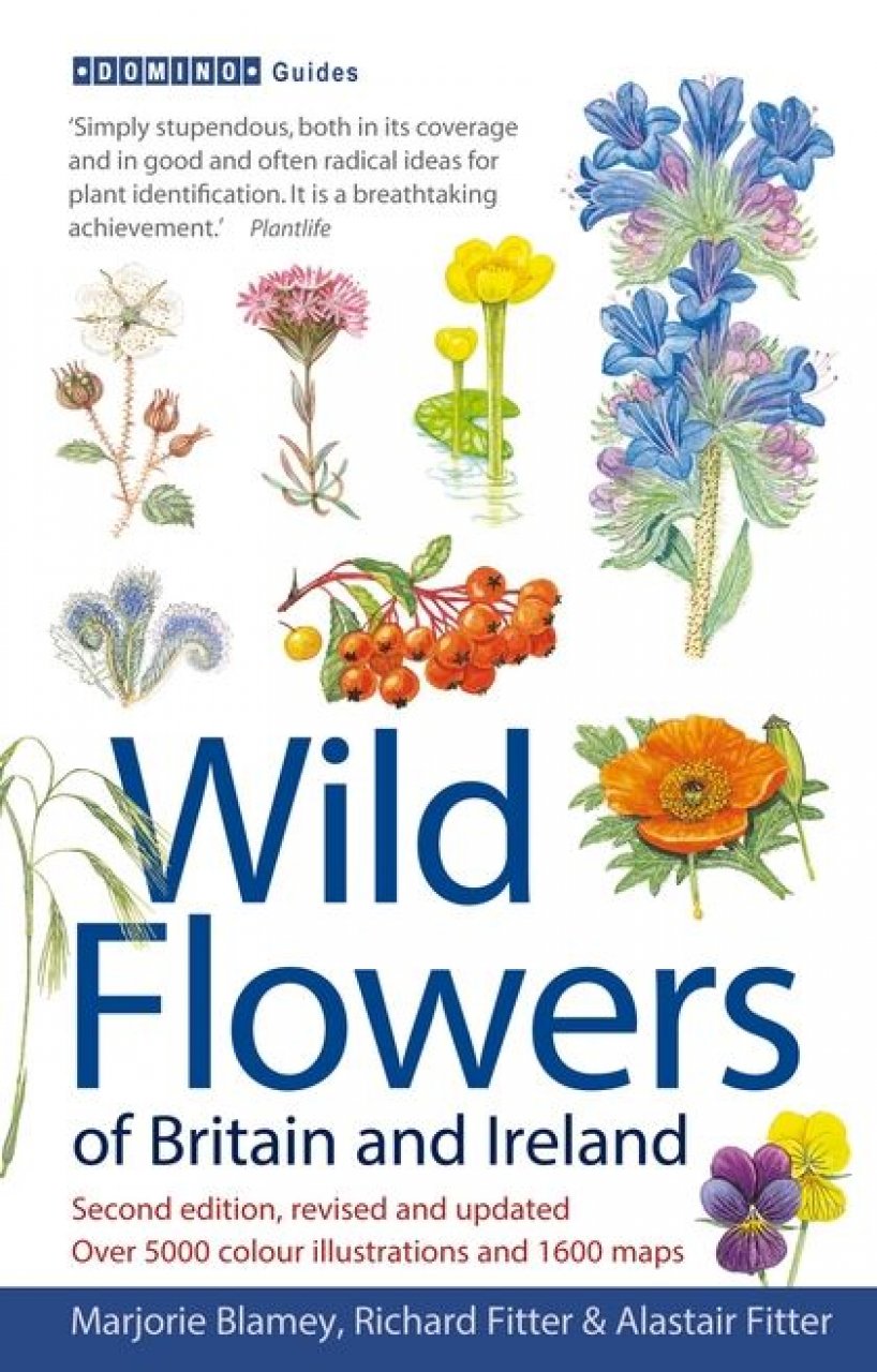 Wild Flowers of Britain and Ireland 1408179504 9781408179505 NHBS