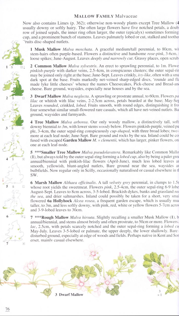 Wild Flowers of Britain and Ireland 1408179504 9781408179505 NHBS