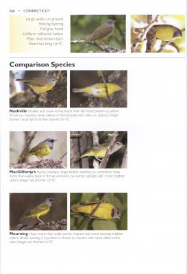 The Warbler Guide Tom Stephenson, Scott Whittle, Catherine Hamilton NHBS