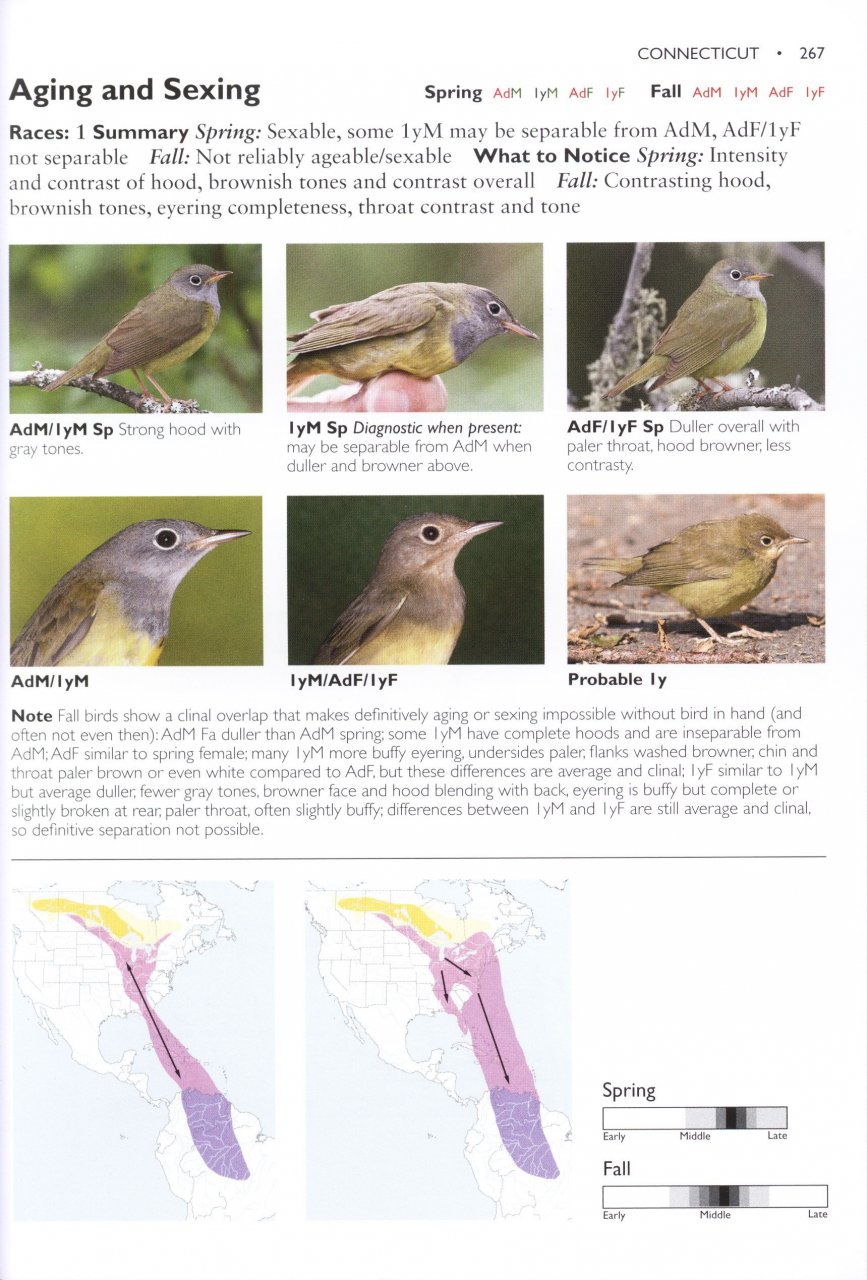 The Warbler Guide Tom Stephenson, Scott Whittle, Catherine Hamilton NHBS