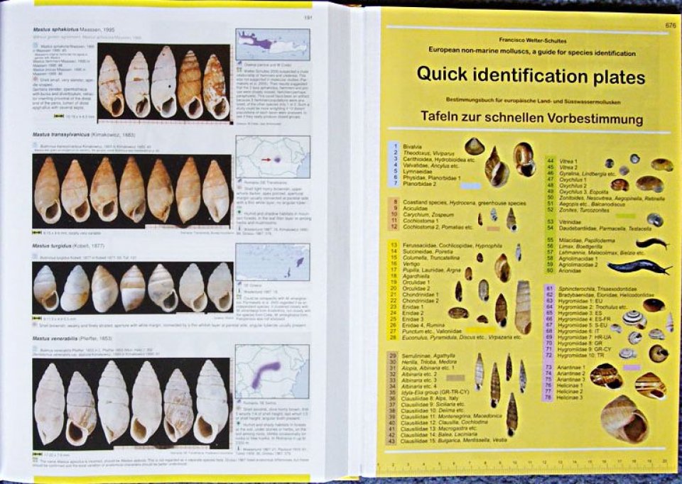 European Nonmarine Molluscs, a Guide for Species Identification