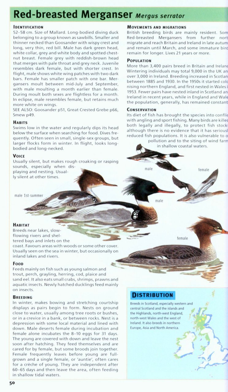 Rspb Handbook Of British Birds