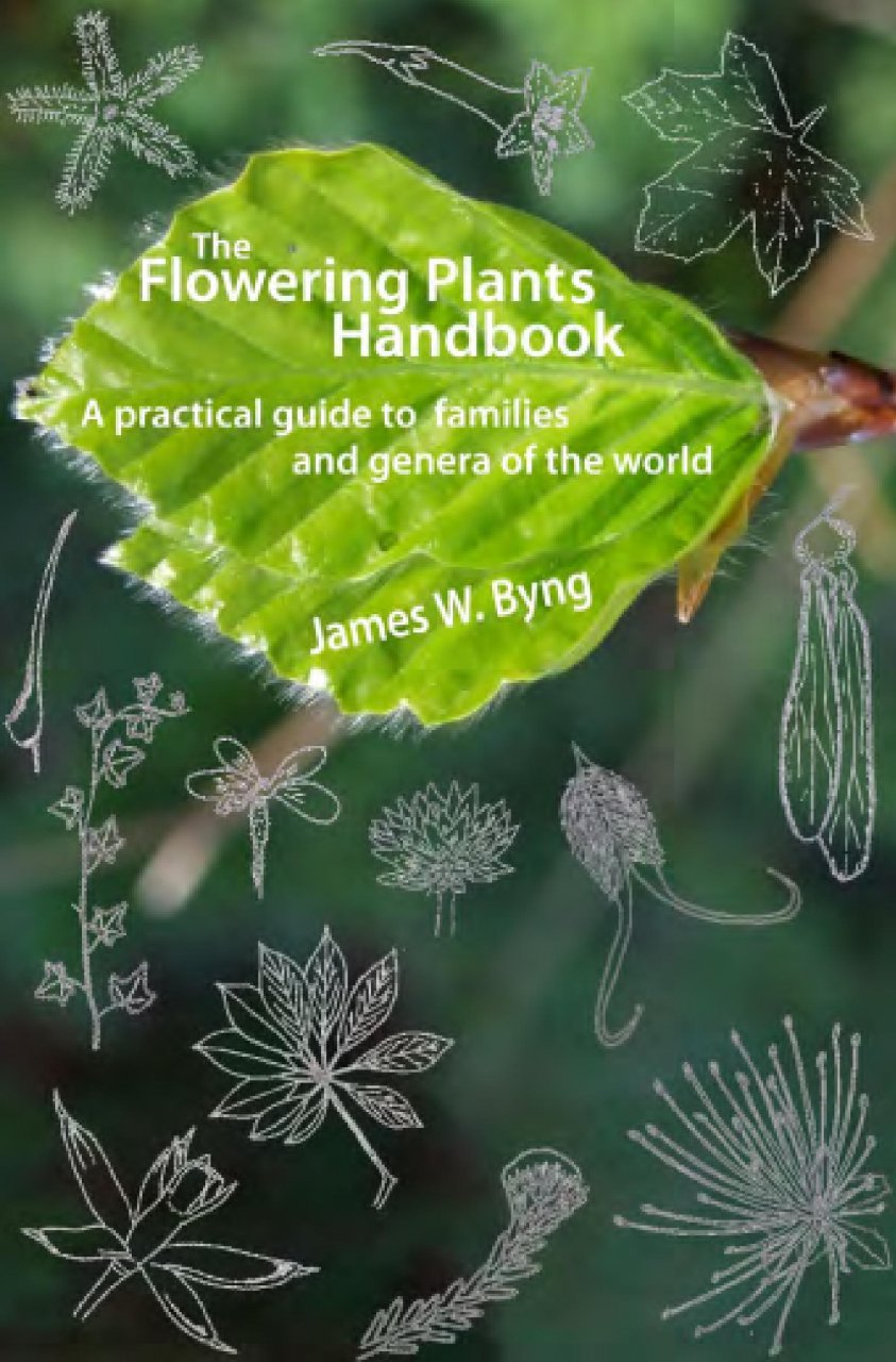 vines world the flowering of Families to Flowering Practical Handbook: The and Plants Guide A