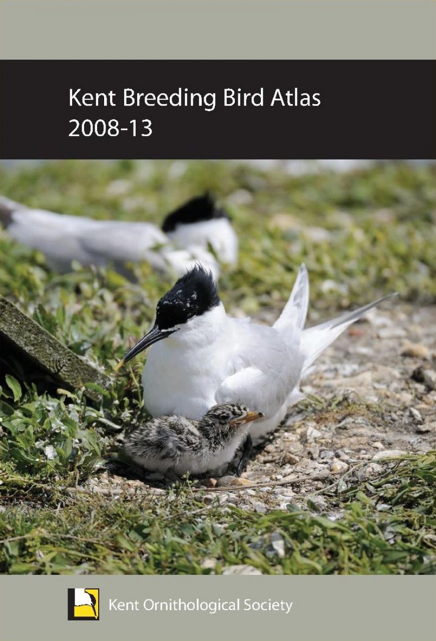 Kent Breeding Bird Atlas 2008 13 Rob Clements Murray Orchard Norman Mccanch Stephen Wood Nhbs