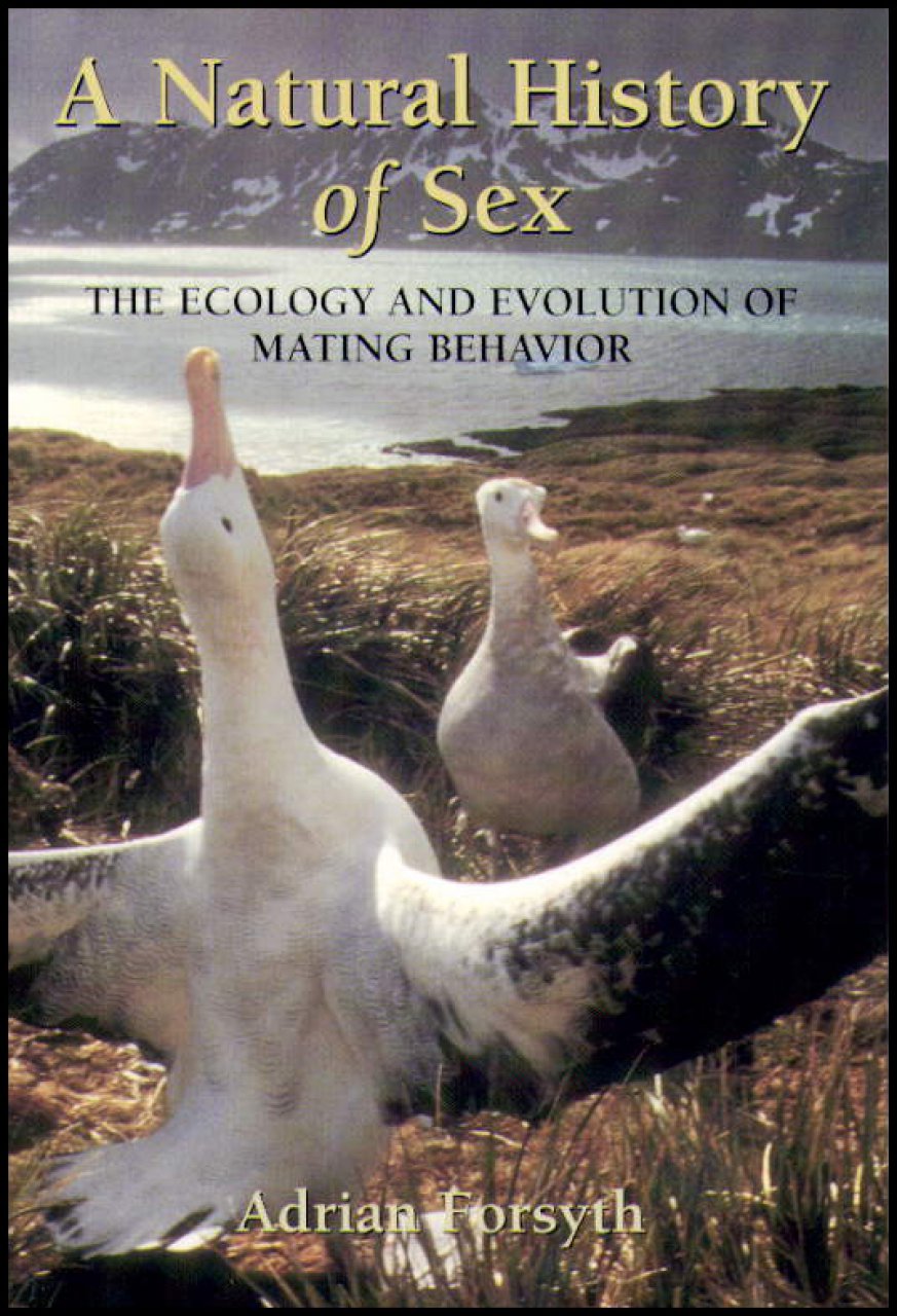 Discuss The Relationship Between Sexual Selection And 