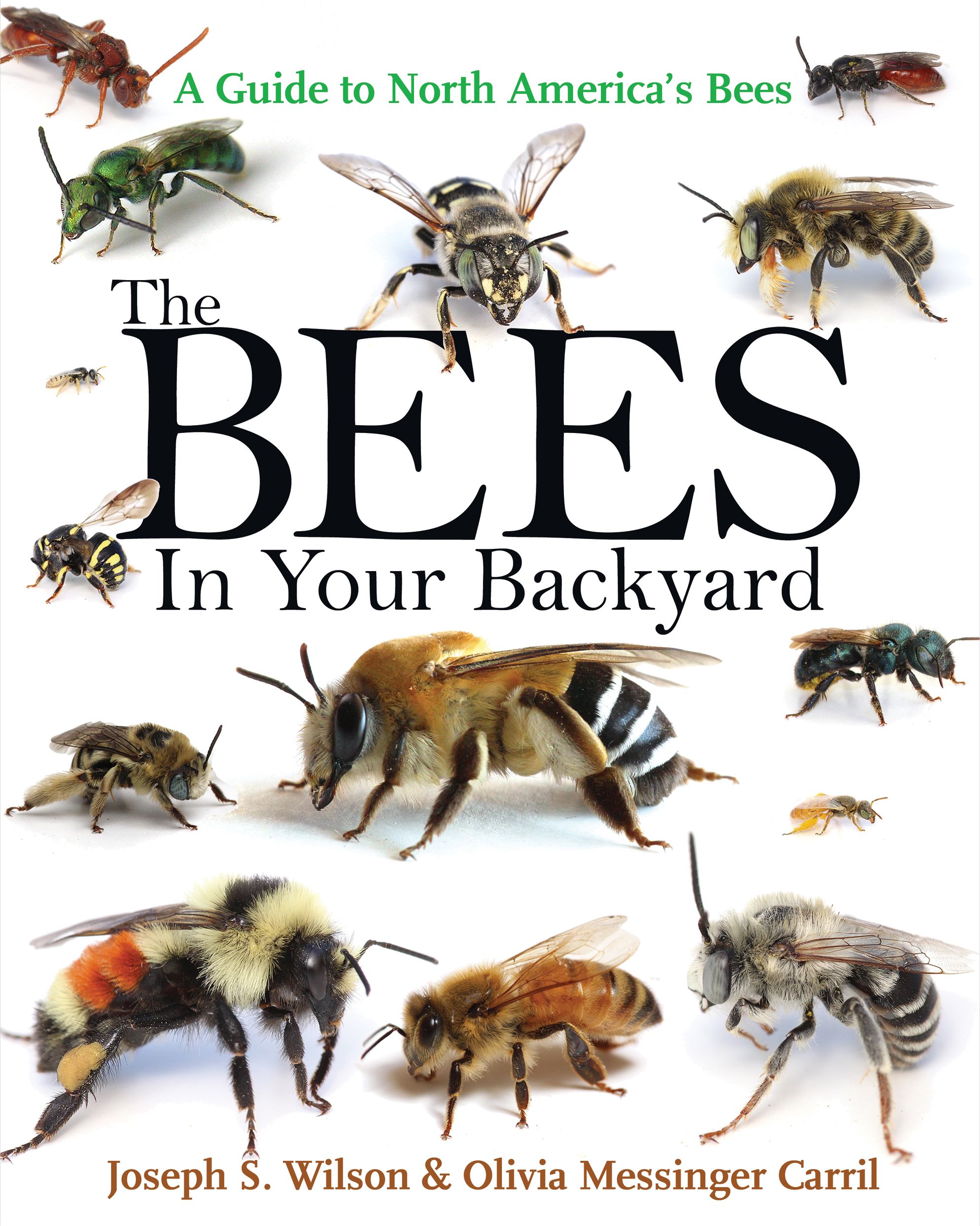 The Bees in Your Backyard: A Guide to North America's Bees: Joseph S ...