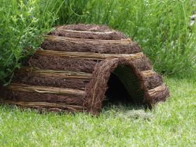 Igloo Hedgehog Home