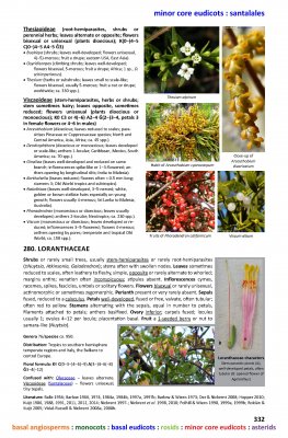 The Flowering Plants Handbook Internal Image