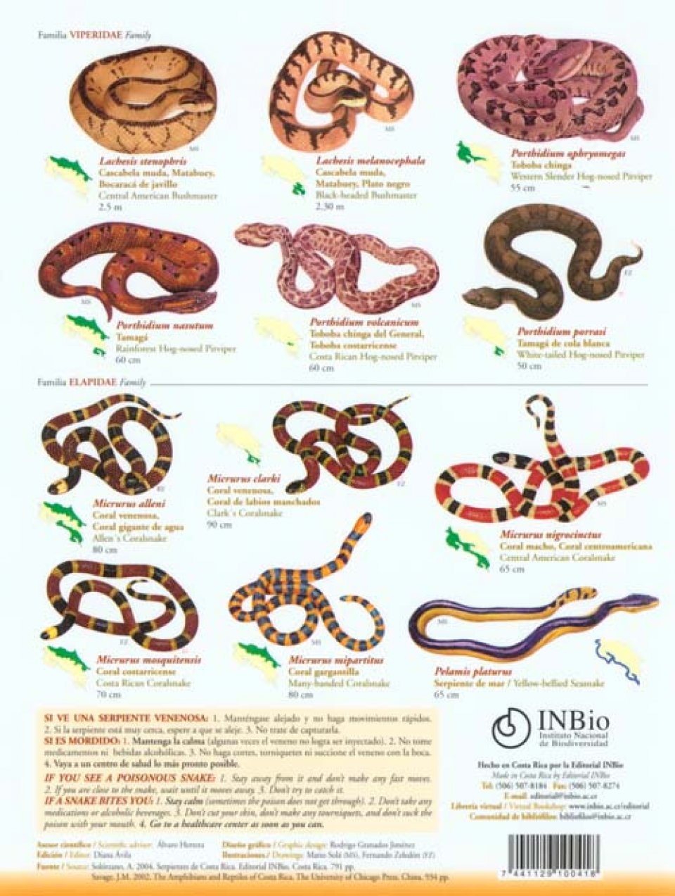 Poisonous Snakes of Costa Rica / Serpientes Venenosas de Costa Rica ...