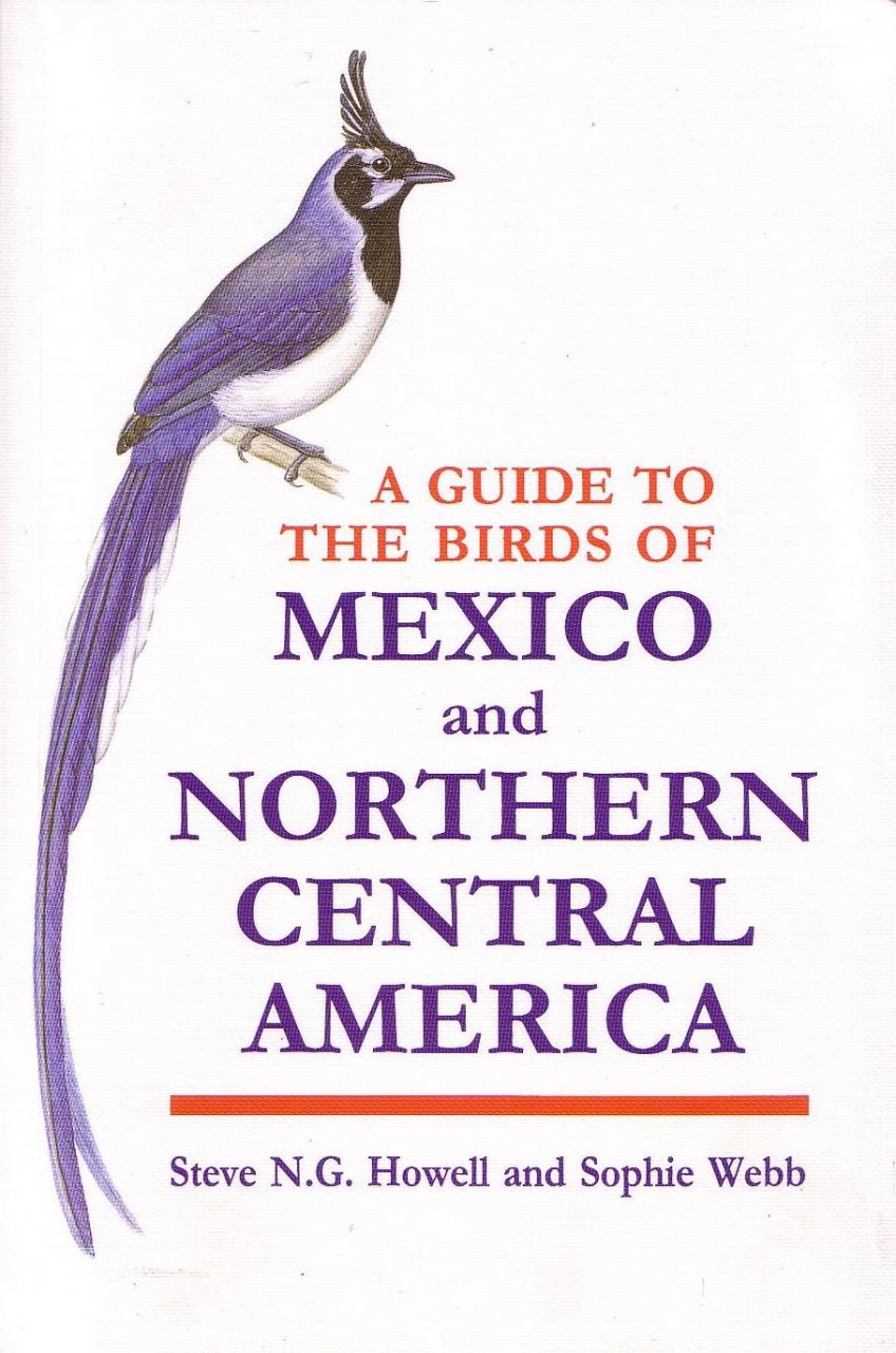 A Guide To The Birds Of Mexico And Northern Central America Steve NG a-guide-to-the-birds-of-mexico-and-northern-central-america-steve-ng